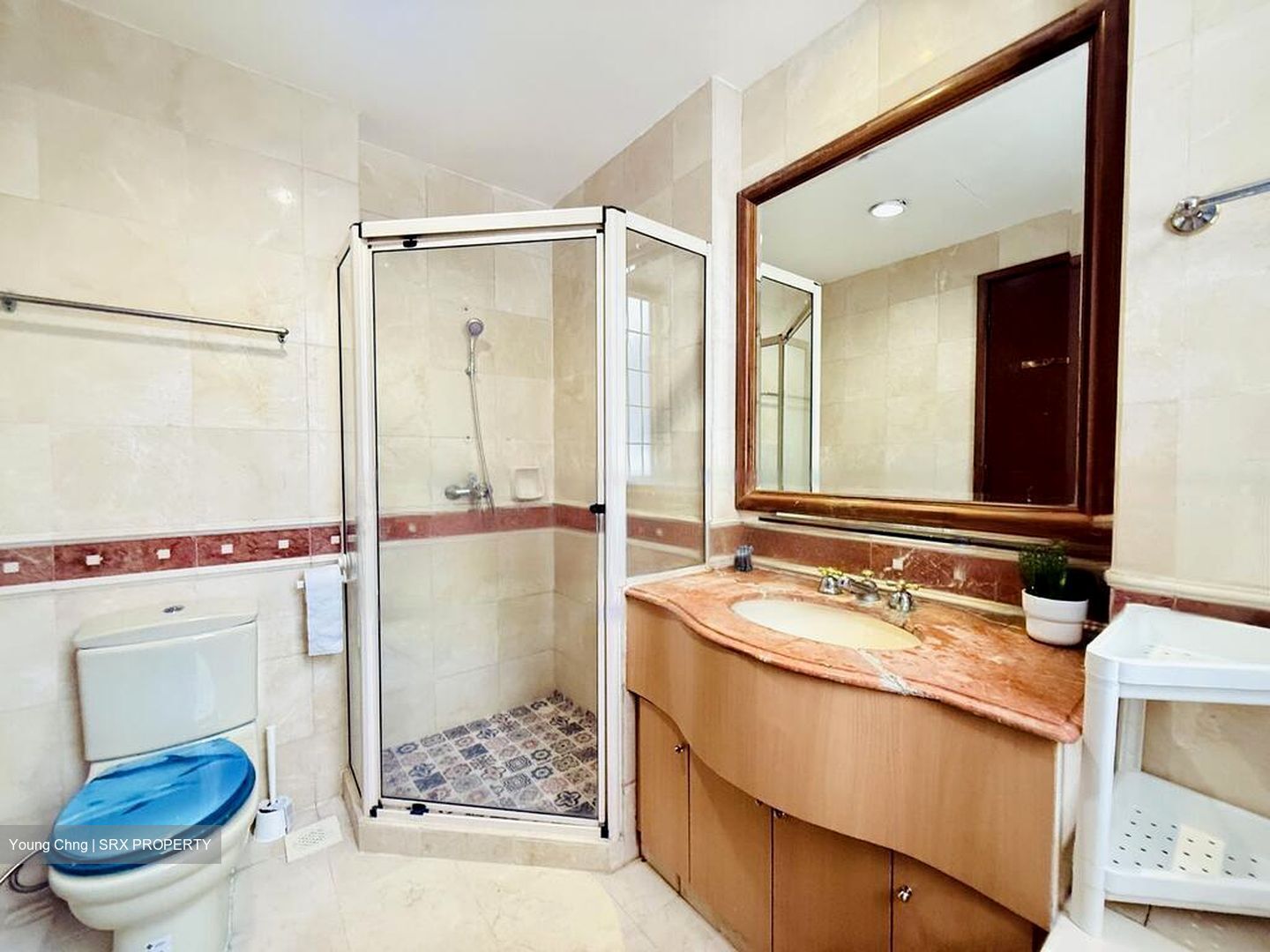 Seasons Park (D26), Condominium #464276801